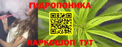 шишки Коммунар