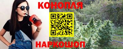 шишки Коммунар