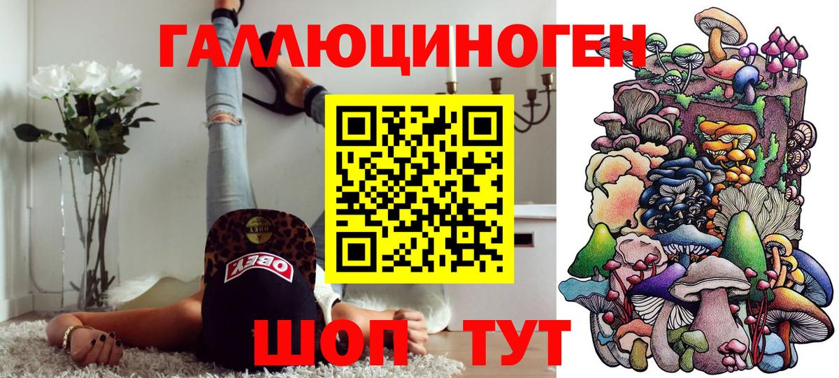 Псилоцибиновые грибы Psilocybine cubensis Энгельс