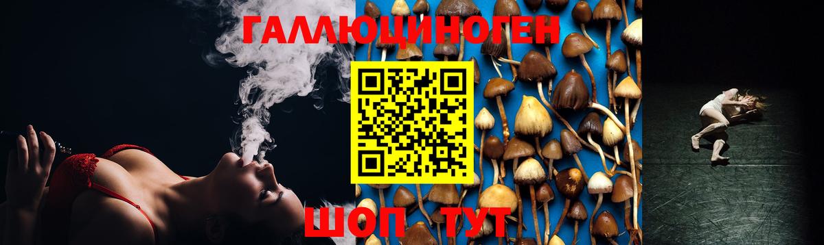 Галлюциногенные грибы Psilocybine cubensis  Вход с VPN  Энгельс 
